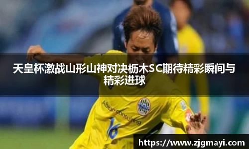 DB视讯